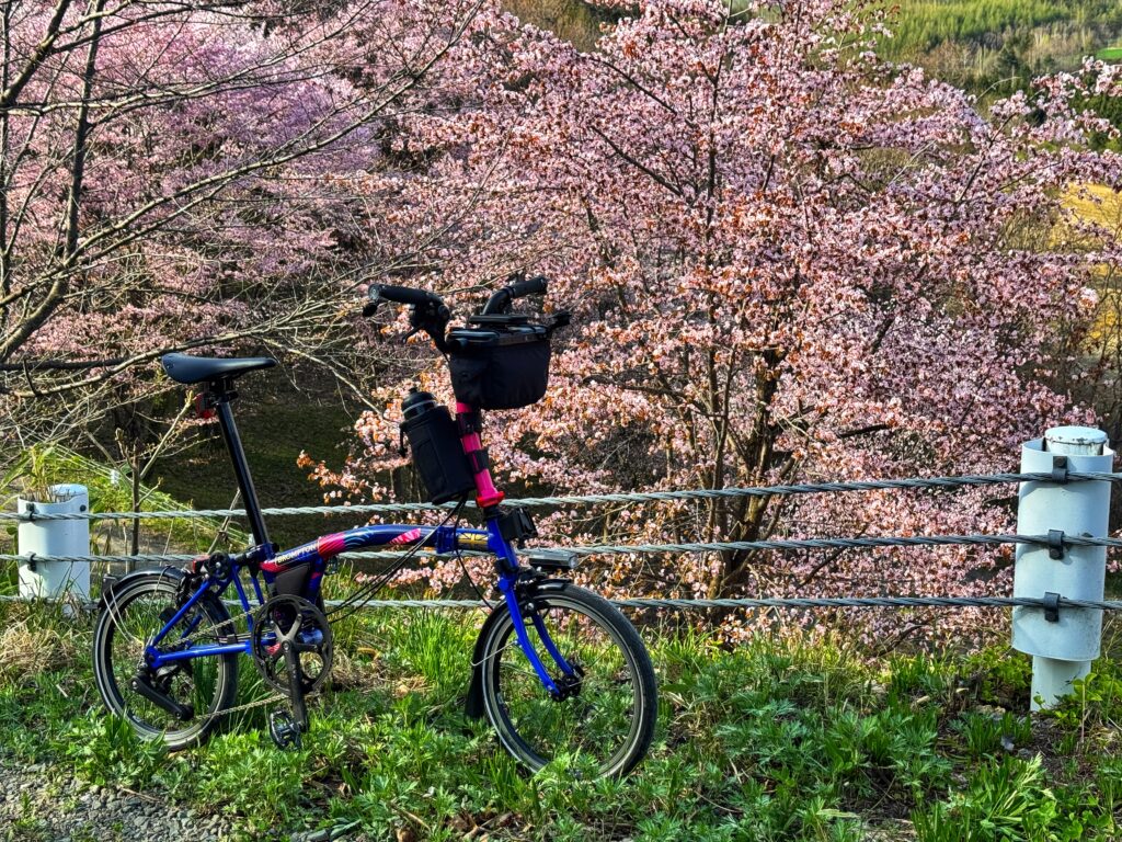 BROMPTONな深山峠の桜を愛でるライド