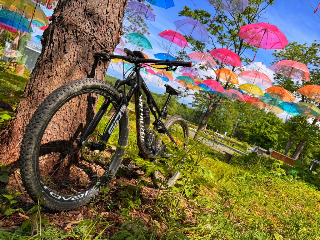 この夏もサイクリングイベントだらけ～ほぼグラベル？